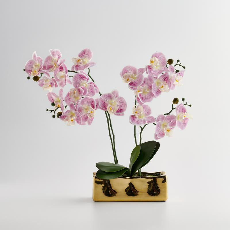 Orchianum gerviblóm