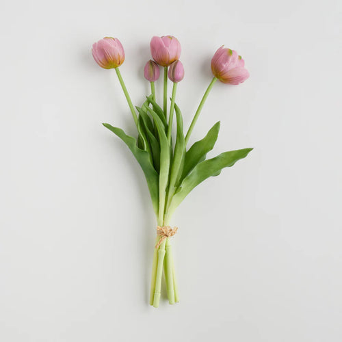 Tulipanisio gerviblòm (10026968547644)