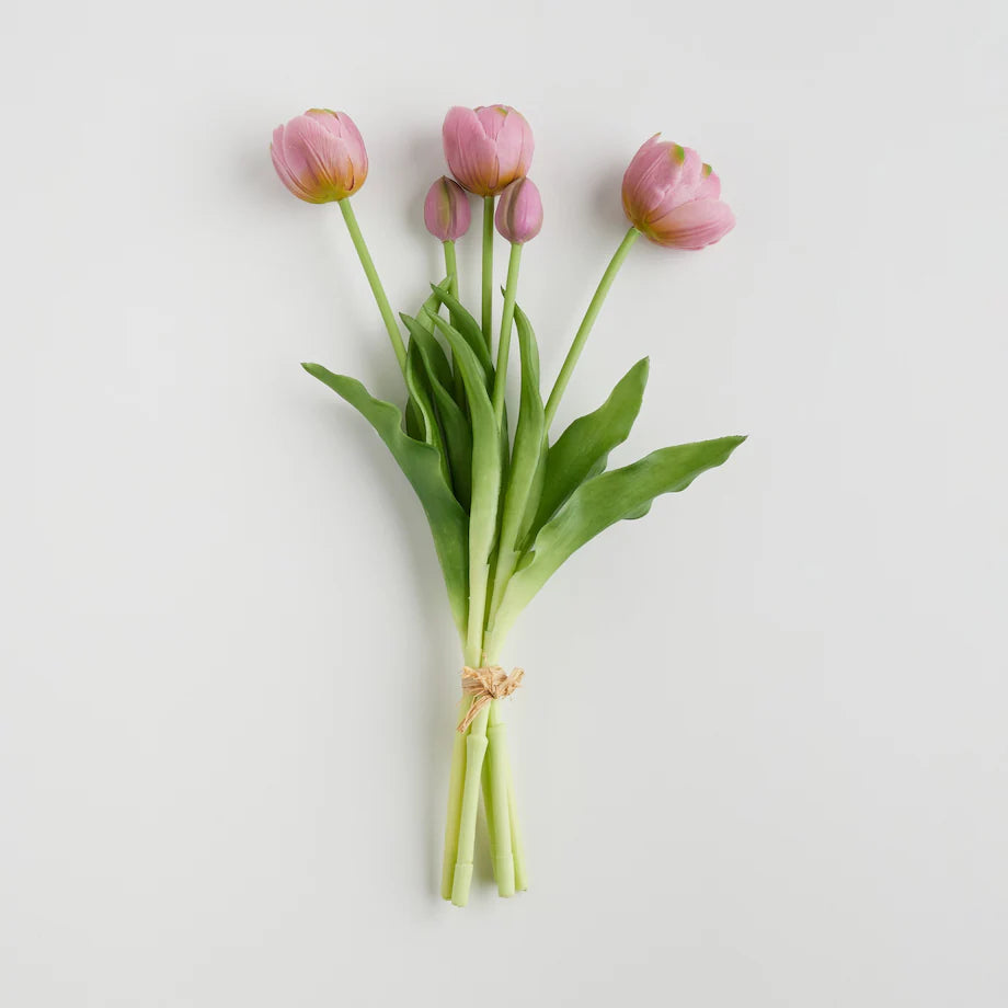 Tulipanisio gerviblòm (10026968547644)