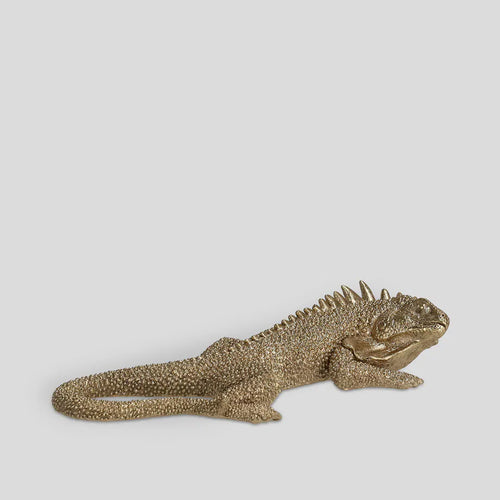 Iguani stytta (10019618947388)