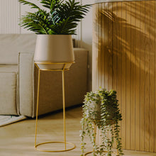 Load image into Gallery viewer, Slownes lítill
