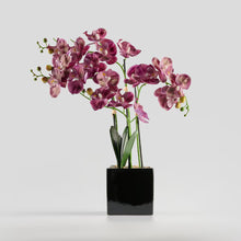 Load image into Gallery viewer, Florettis gerviblóm
