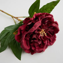 Load image into Gallery viewer, Dahlio gerviblóm (10026987094332)

