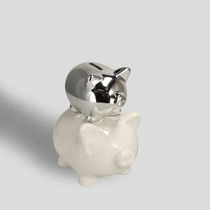 Theirmoney sparibaukur (10019617440060)
