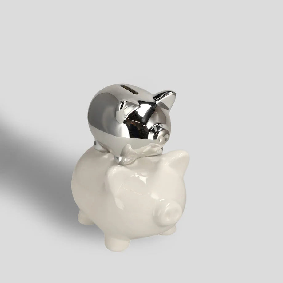 Theirmoney sparibaukur (10019617440060)
