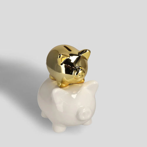 Theirmoney sparibaukur (10019616260412)
