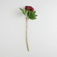 Load image into Gallery viewer, Dahlio gerviblóm (10026987094332)
